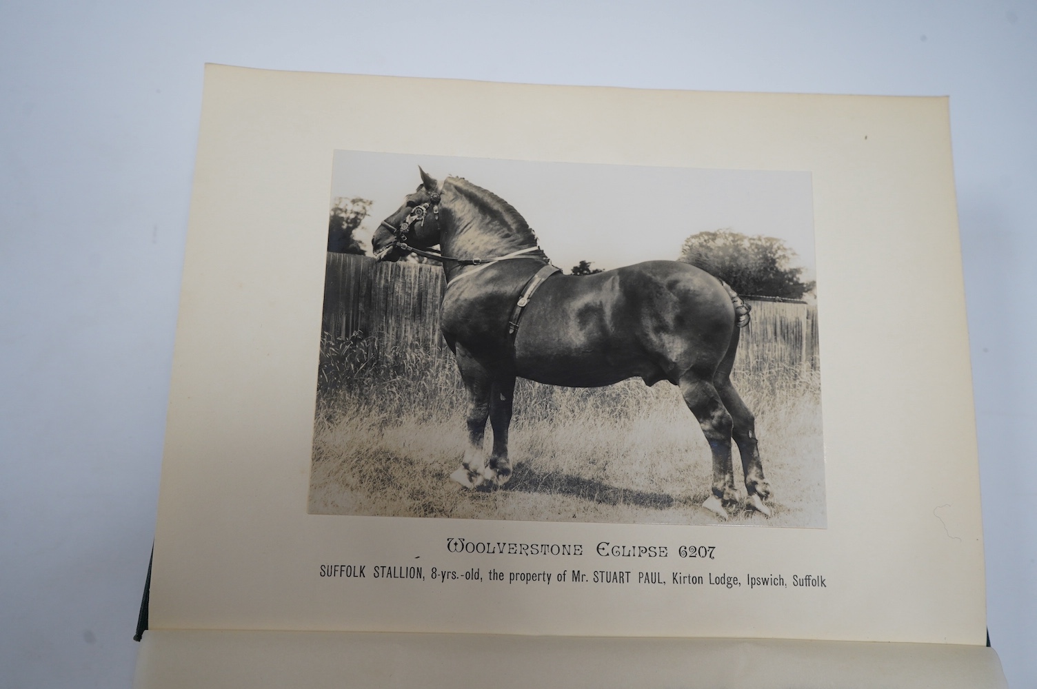 The Suffolk Stud-Book: a register of the county breed of cart horses. vol. XLIII. 2 mounted photo. plates and 2 folded tables; original cloth, roy.8vo. Diss, 1940; Lloyd, Walford - The Southdown Sheep ... illus.; gilt pi